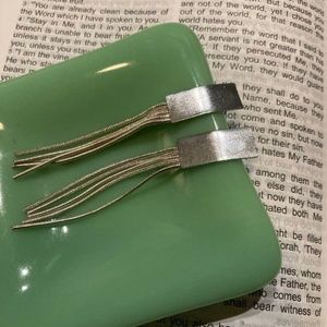 Cute Silver Earrings NWOT